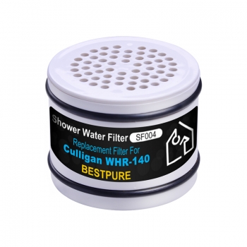 European style hot selling chlorine removal shower head