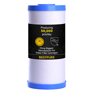 10X4.5 Inch Sediment and Activated Carbon Water Filter