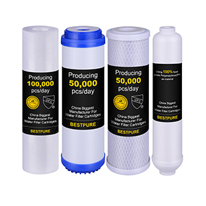 Pre-Filter and Post Inline Activated Carbon Filter Cartridge