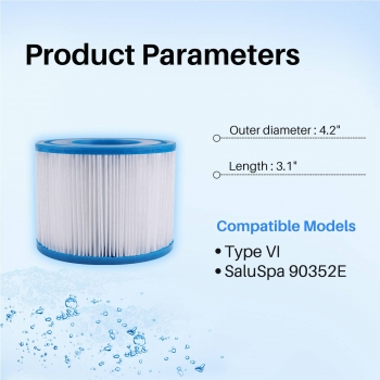 Pool Filter Type VI Fits for SaluSpa 90352E