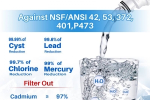 What does kenmore refrigerator water filter really remove?