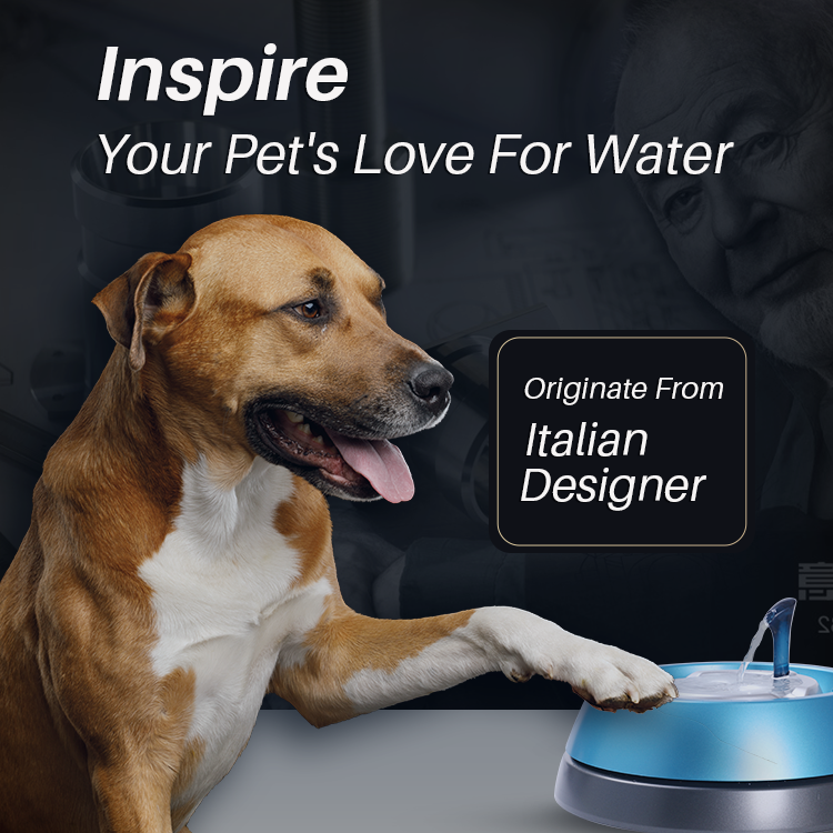 Pet Water Fountain Help Cats & Dog Drinking Fresh Water Every day