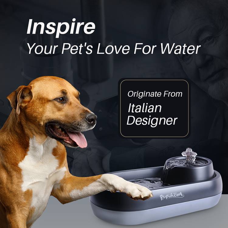 Do Pet Water Fountain Filters Really Work?