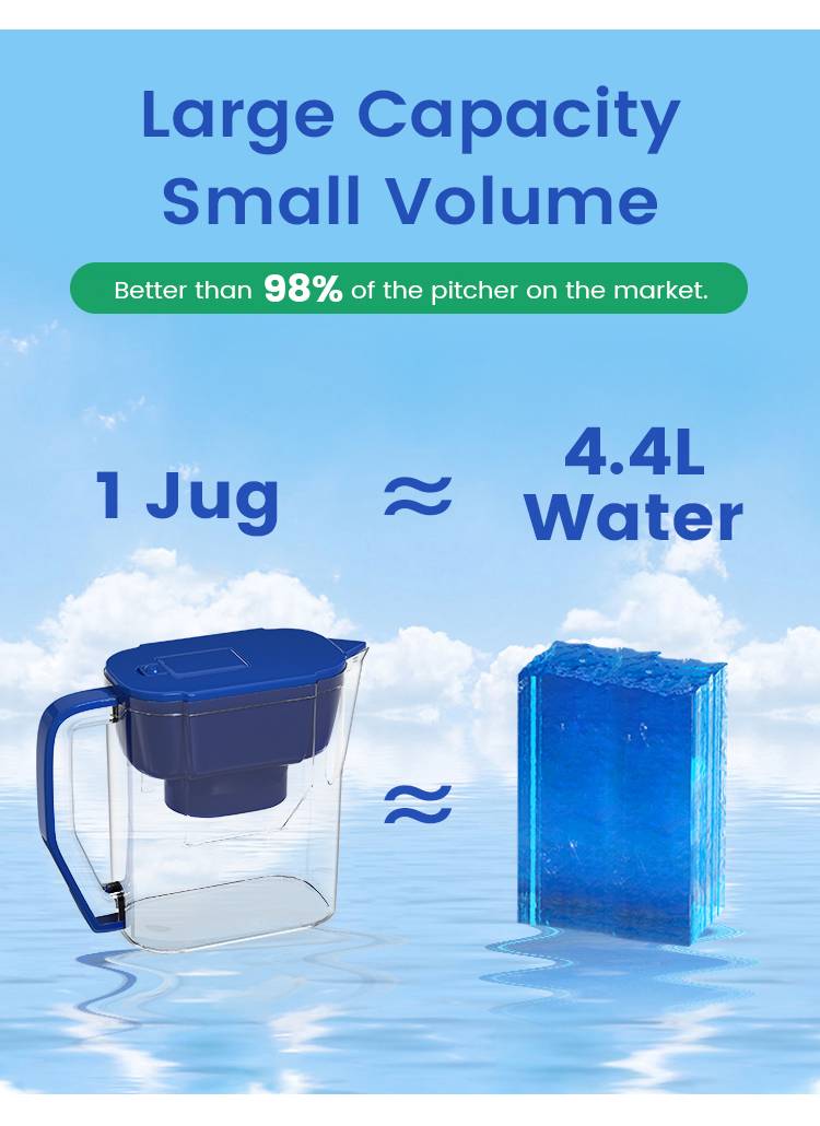 bwt vida water filter pitcher