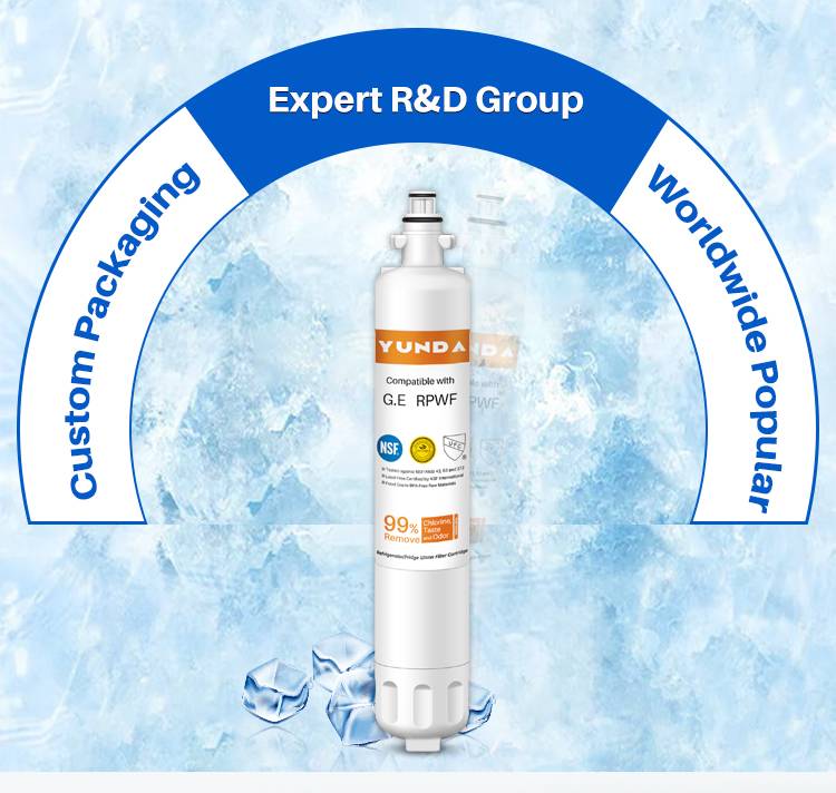 showing of customized private label ge rpwf water filter replacement